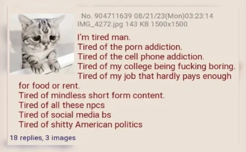 Tired of Everything Cat Rant