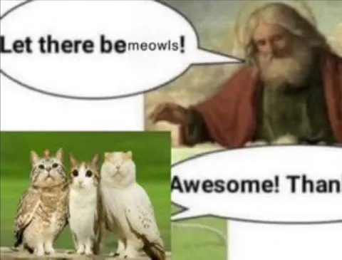 Let There Be Meowls