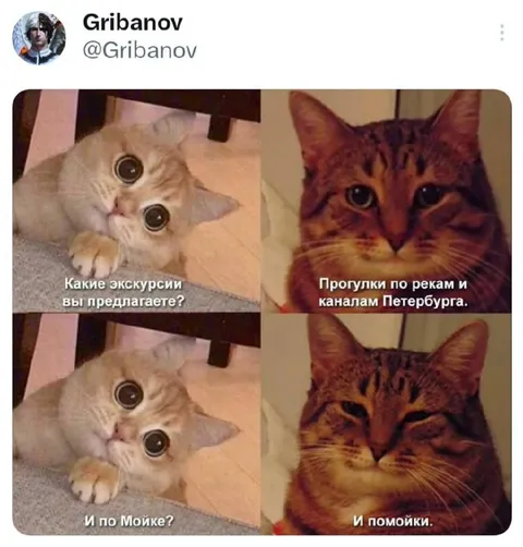 Экскурсии по Петербургу