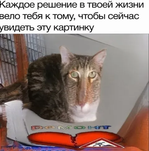 Каждое решение привело к этой картинке