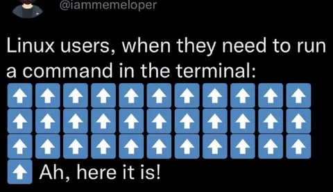 Linux Users Find the Up Arrow