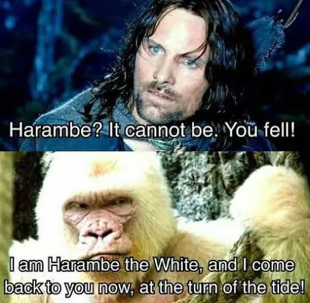 Harambe the White Returns