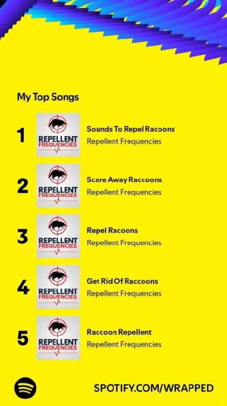 Raccoon Repellent Wrapped Playlist