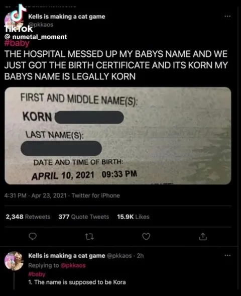 Baby Named Korn Sings Nu Metal