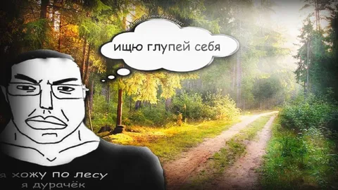 Ищу глупей себя