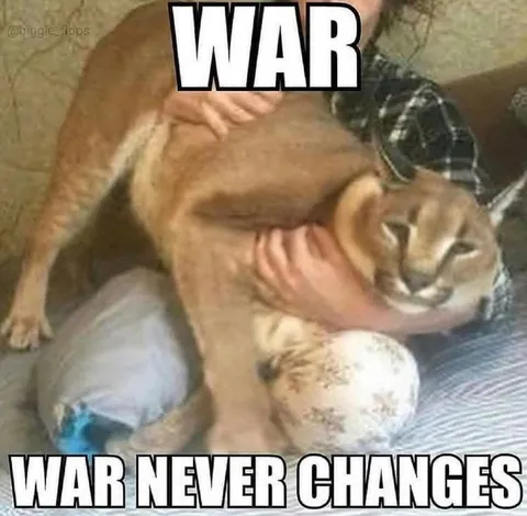 War Never Changes Cat