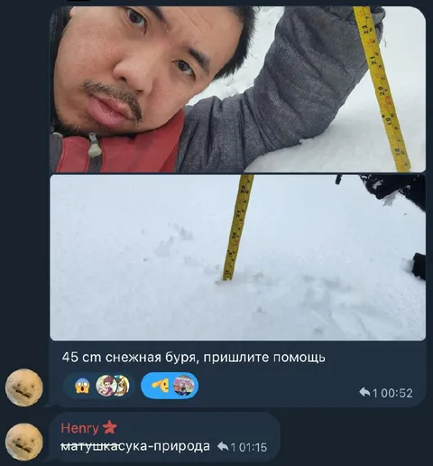 45 см снежная буря