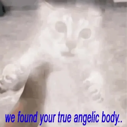 True Angelic Body Cat