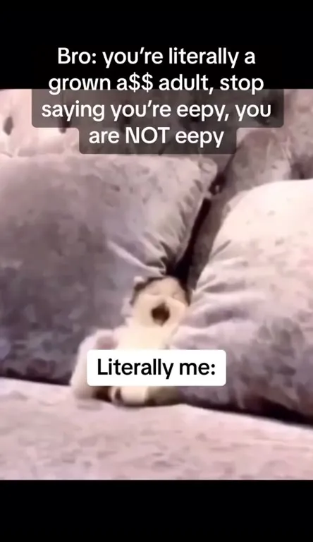 Adult Cat Still Says Eepy