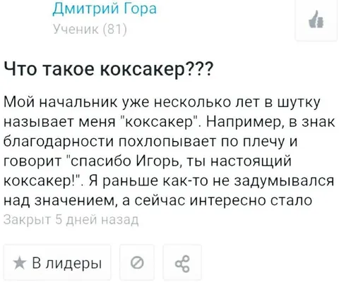 Что такое коксакер