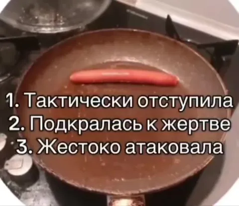 Сосиска тактически отступает