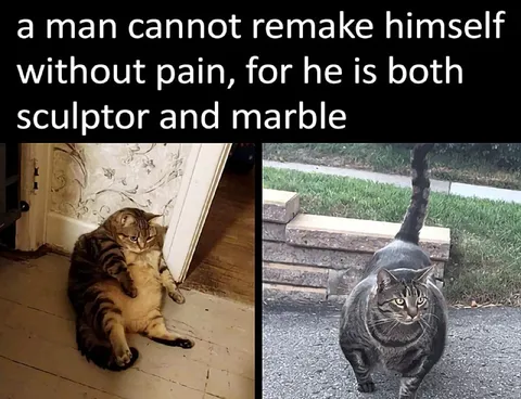 Sculptor and Marble Cat