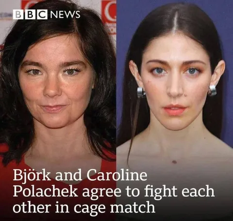 Björk and Caroline Cage Fight