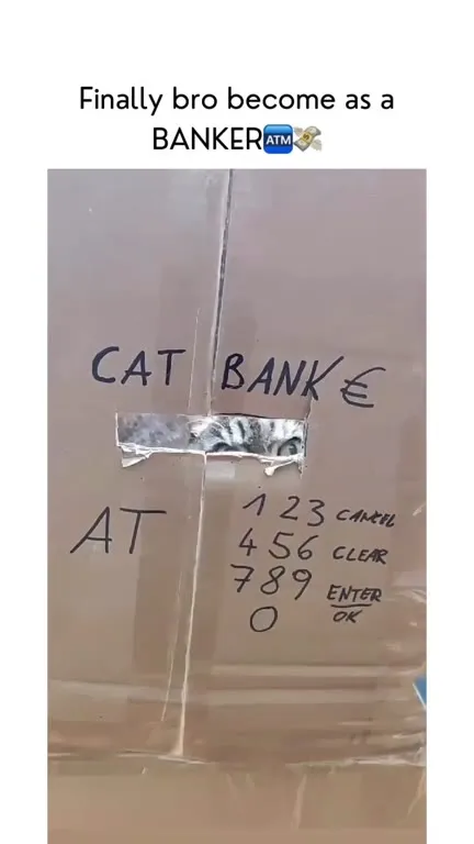 Cat Bank ATM