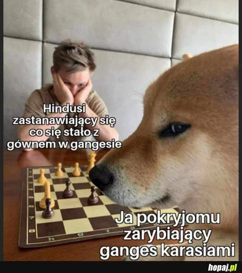 Zarybianie Gangesu karasiami