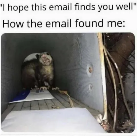 How the Email Found Me