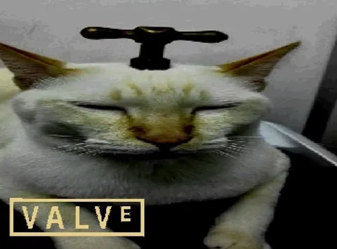 Valve Cat With Handle