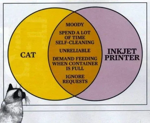 Cat and Inkjet Printer Venn Diagram