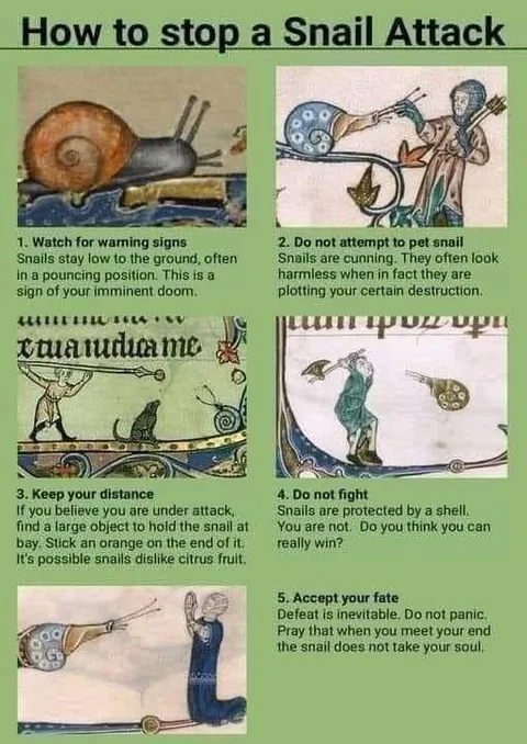 How to Stop a Snail Attack