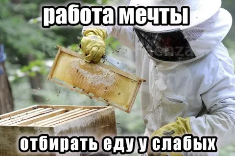 Работа мечты пчеловода