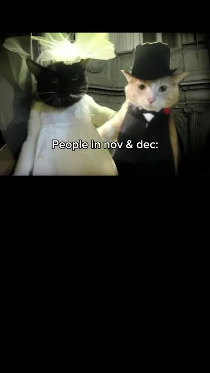 People in November and December