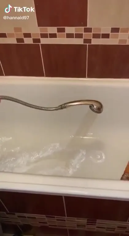 Змея из душевого шланга