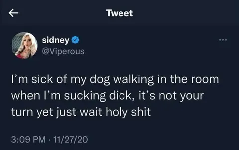 Dog Interrupts Oral Sex