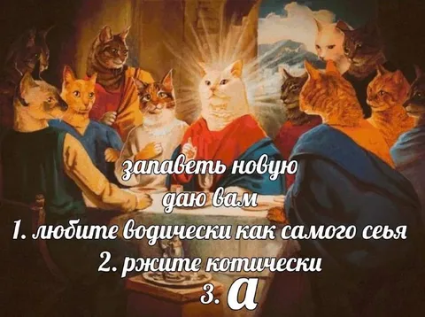 Новая заповедь от котов