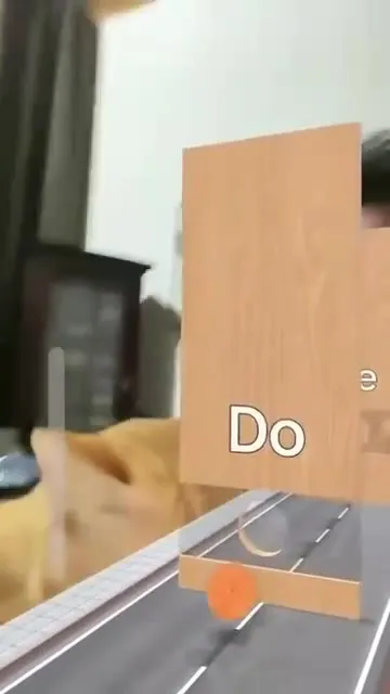 Cat Sings Do So La
