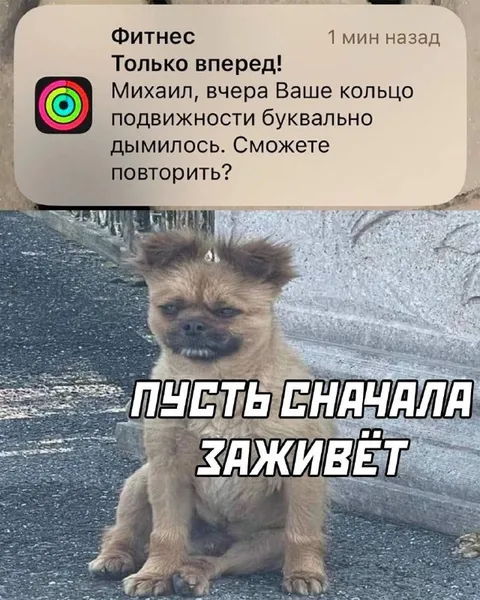 Пусть сначала заживёт