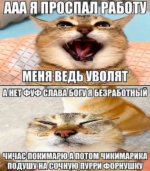 Проспал работу и обрадовался безработице