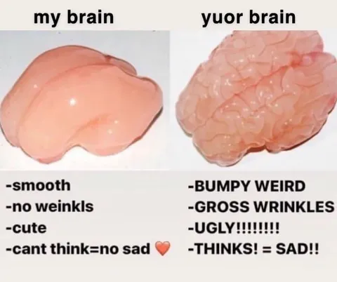 My Brain Versus Your Brain