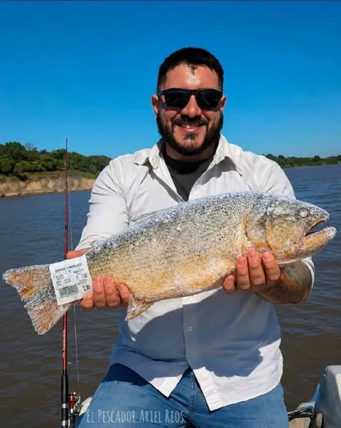 Pescador con pescado congelado