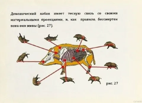 Демонический кабан и его проекции