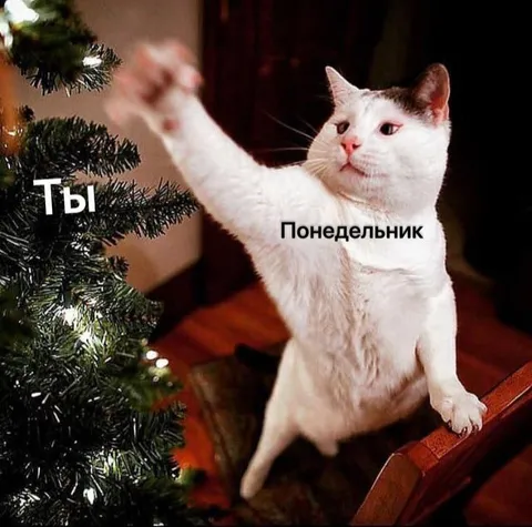 Ты и понедельник