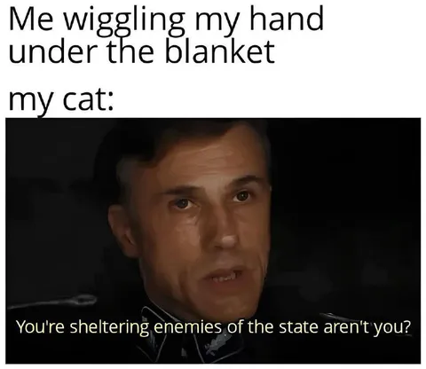 Cat Under the Blanket Interrogation