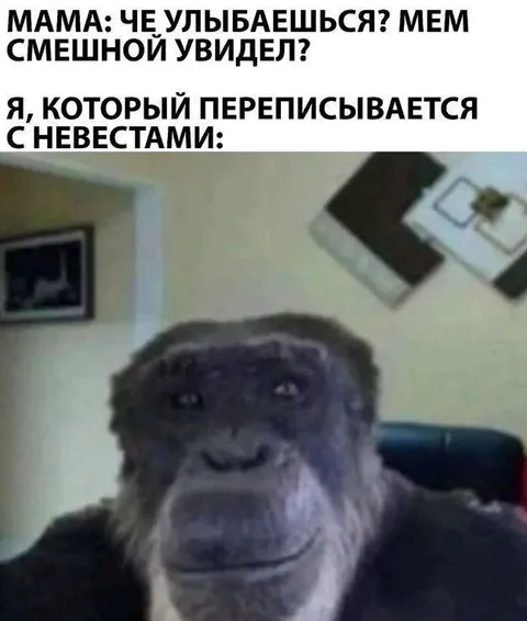 Переписывается с невестами