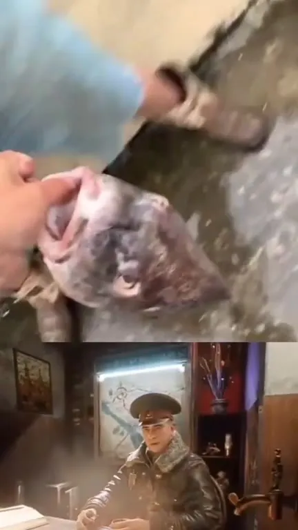 Когда вода всё-таки прорвалась