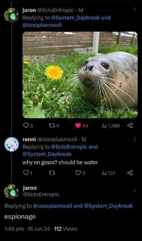 Seal Investigates the Grass