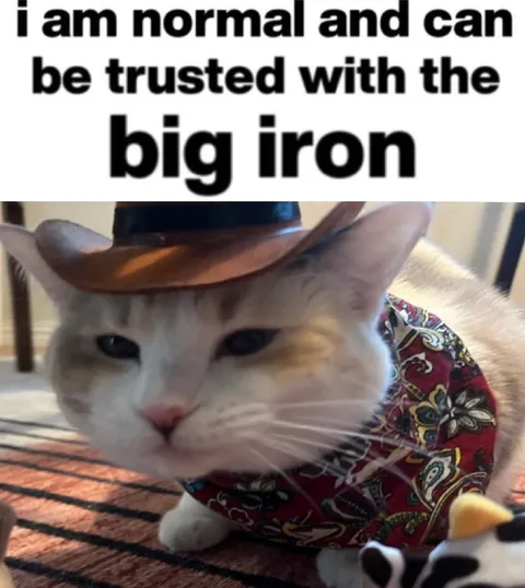 Cat Can Be Trusted With Big Iron