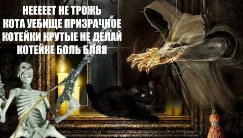 Не трожь кота, призрачное уебище