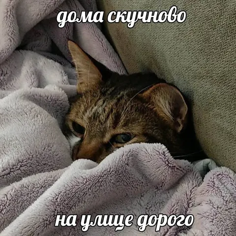 Дома скучновато, на улице дорого