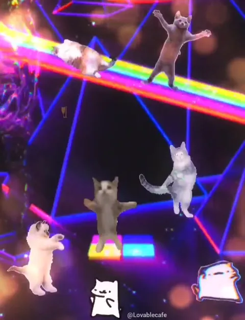 Cats Dancing Into Psychiatric Unit