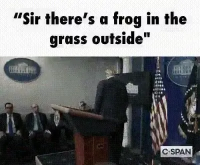 Trump Hears a Frog Outside