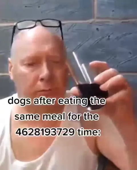 Dogs Eating the Same Meal Again