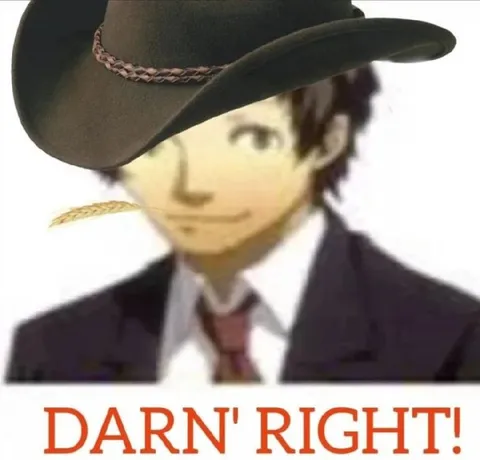 Darn' Right Cowboy Anime