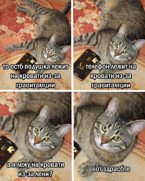 Лежу на кровати из-за лени