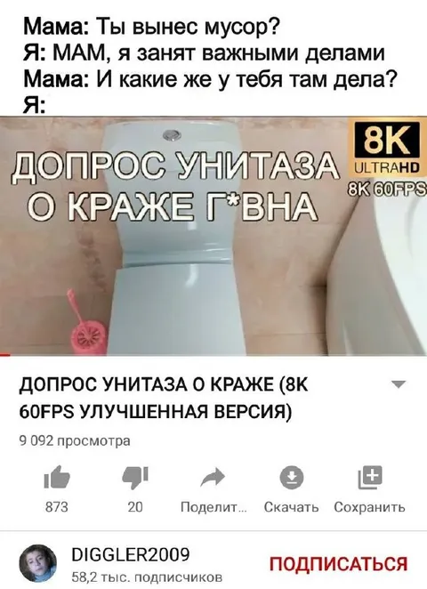 Допрос унитаза о краже г*вна