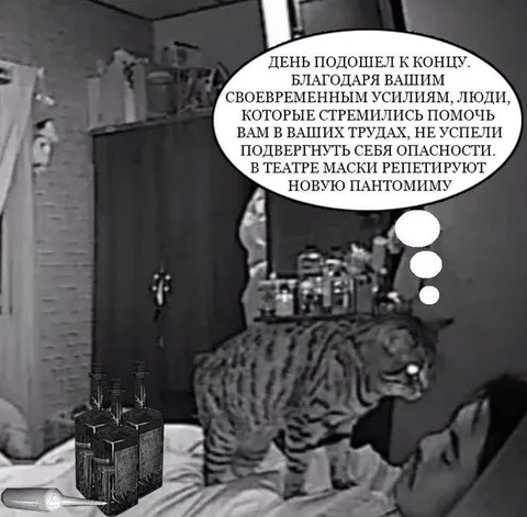 Кот с театральной пантомимой