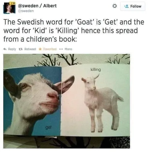 Swedish Goat and Kid Wordplay